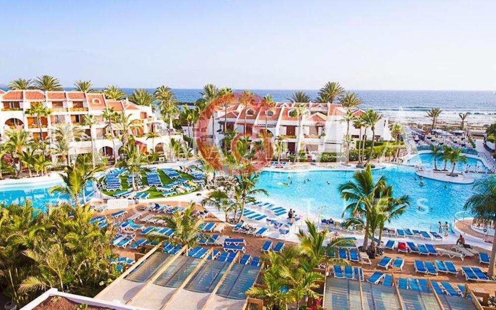 3 Santiago Playa Tenerife Estudio Playa de las Americas  Eksteriør bilde